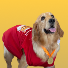 Alex.png__PID:3de857c8-5b90-4379-a79e-74f52259ee76