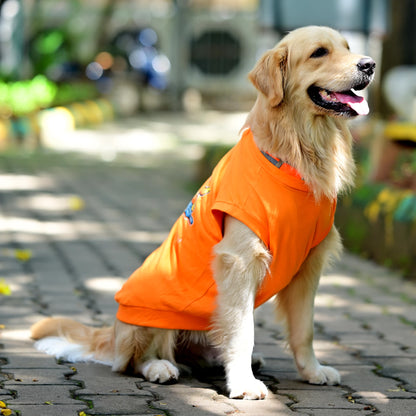 Tired-a? Oh Bhrame! Nan Recharge Mode On Guru!