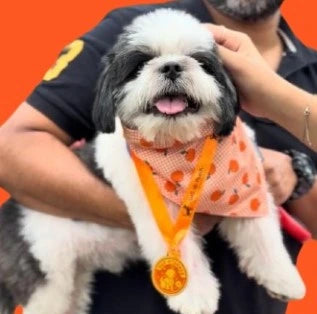 Hoffi.webp__PID:8757da08-be5c-47f4-a4bc-775f463ffac3