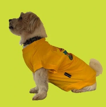 IMG_2871-removebg-preview (1).webp__PID:d22ccd15-26bf-4d38-8063-2f3ea79ec6e5