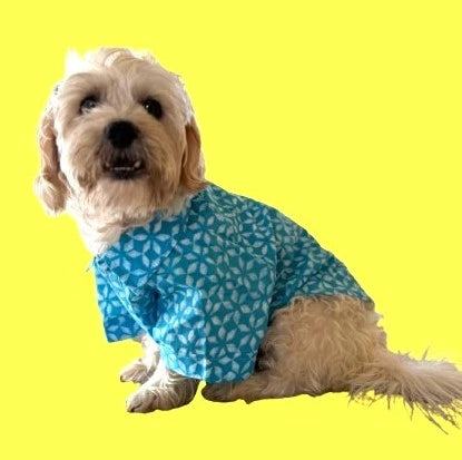 IMG_2876 (1)-removebg-preview (1).webp__PID:98135aab-f866-4e2b-a1b4-9f87d1ab6ff2