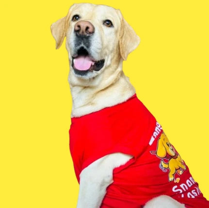 Maxie.webp__PID:bcc37f3c-3b95-4723-af40-55f05b0c87c9