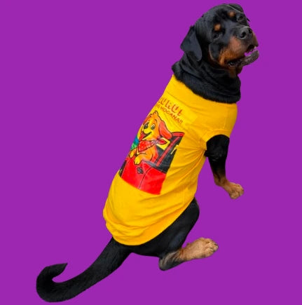 Rocky SUP.webp__PID:478002e0-1f98-4f9e-a358-1d4f4e5078a0