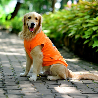 Tired-a? Oh Bhrame! Nan Recharge Mode On Guru!