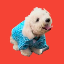 Screenshot_20251010_100332-removebg-preview.webp__PID:9037ea44-a514-45c6-bae6-47bfb8a5595d