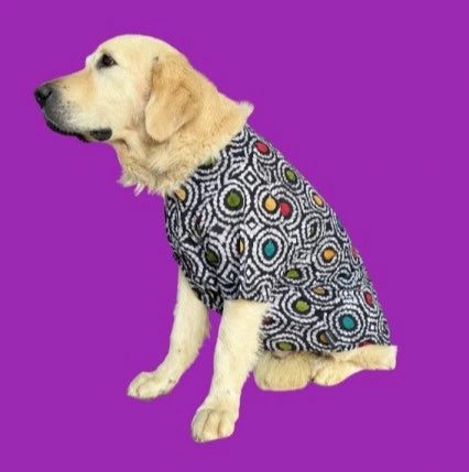 Uno.webp__PID:10846892-3b0f-411e-b00b-d6abf685858d