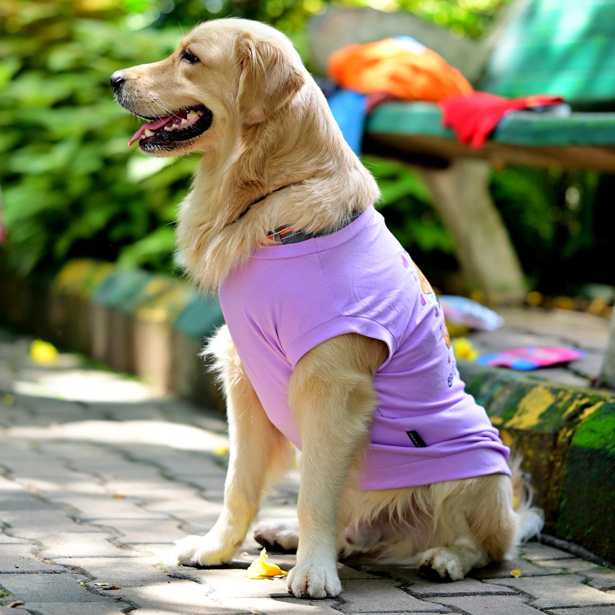 Side view of Amma’s Muddu Mari cotton Kannada dog t-shirt, showing how it sits comfortably with a high belly cut and perfect back length