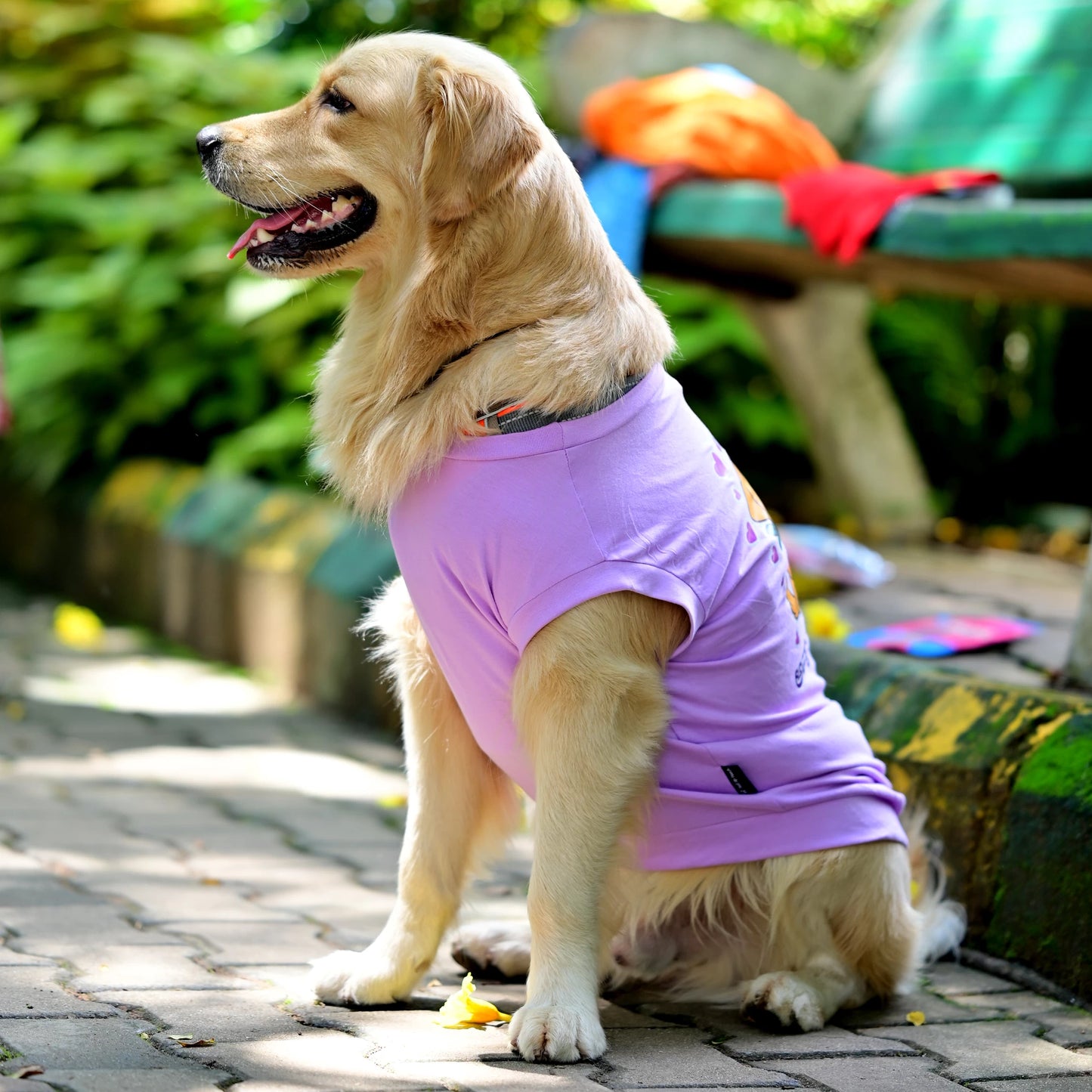 Side view of Amma’s Muddu Mari cotton Kannada dog t-shirt, showing how it sits comfortably with a high belly cut and perfect back length
