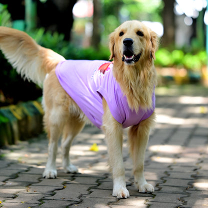 Amma’s Muddu Mari cotton Kannada dog t-shirt in standing pose, showcasing high belly cut and comfy, perfect fit for every dog