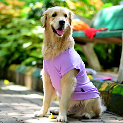 Amma’s Muddu Mari cotton Kannada dog t-shirt side profile highlighting its soft, comfy, and tailored fit for dogs