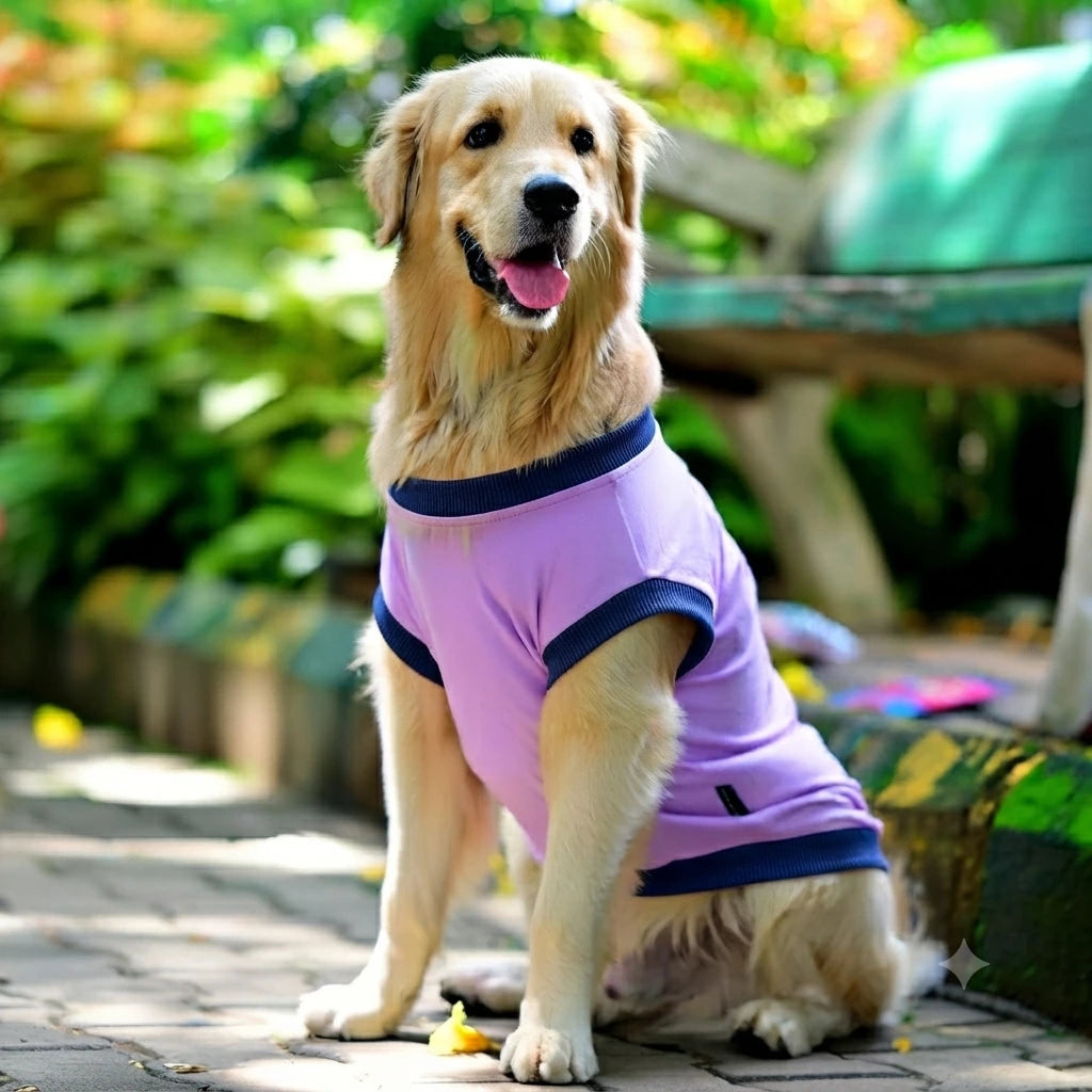 Amma’s Muddu Mari cotton Kannada dog t-shirt in multicolour, front profile highlighting its soft, comfy, and tailored fit for dogs