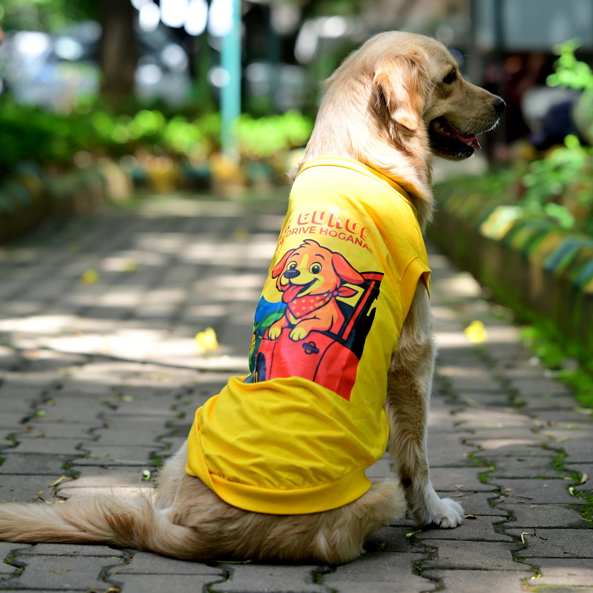 Ba Guru Long Drive Hogana cotton Kannada dog t-shirt in back pose, yellow sleeveless tee showing full graphic print and perfect back length. Comfy fit perfect for small, medium, and large dogs, great for travel and long drives.