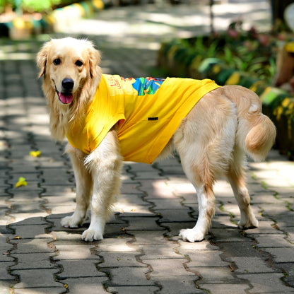 Ba Guru Long Drive Hogana cotton Kannada dog t-shirt in standing pose, yellow sleeveless tee with high belly cut. Comfy fit perfect for small, medium, and large dogs, ideal for travel and long drives.