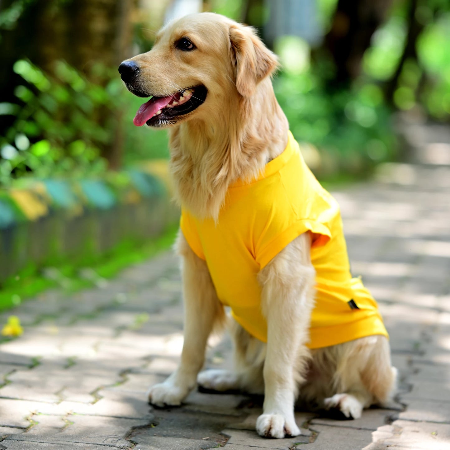Ba Guru Long Drive Hogana cotton Kannada dog t-shirt in left side pose, yellow sleeveless tee highlighting side fit and high belly cut. Suitable for small, medium, and large dogs.