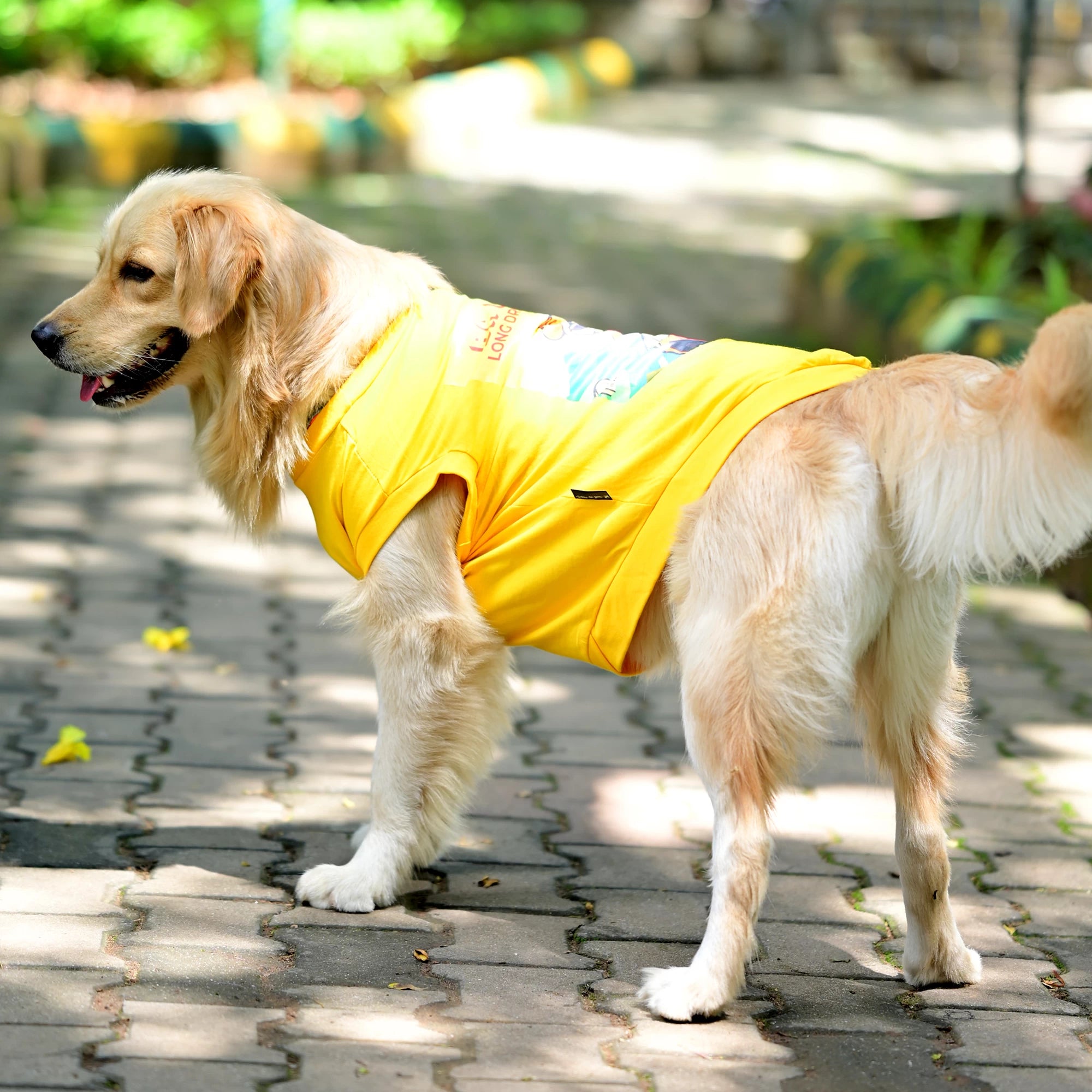 Ba Guru Long Drive Hogana cotton Kannada dog t-shirt in standing side view, yellow sleeveless tee showing perfect fit, high belly cut and shape. Suitable for small, medium, and large dogs.