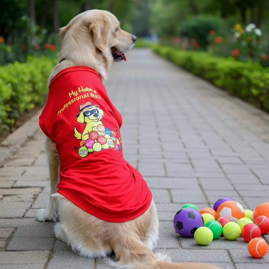 Ball lover funny dog T-shirt in Hindi, red color, back view by Suit Up Pooch