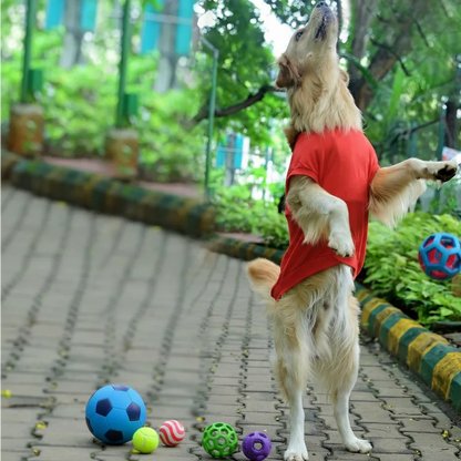 Ball lover funny dog T-shirt in Hindi, red color, lifestyle photo of jumping pup by Suit Up Pooch