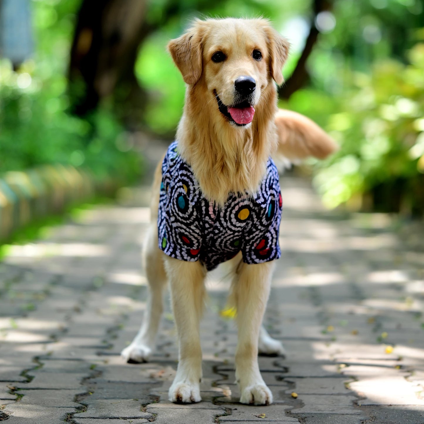 Bark-it Batik handcrafted cotton dog shirt front view. Perfect for small medium large dogs