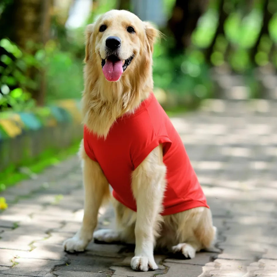 My Hobby Professional Ball Chori sleevless cotton Hindi dog t-shirt in red. Comfy and taiored fit. Available for small, medium and large dogs.