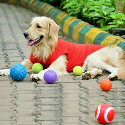 My Hobby Professional Ball Chori sleevless cotton Hindi dog t-shirt in red, tailored fit. Available for small, medium and large dogs.