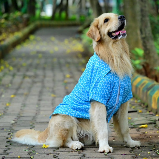 Neeli Nakshatra cotton dog shirt front view with high belly cut and velcro snap fit. Perfect for small medium large dogs by Suit Up Pooch
