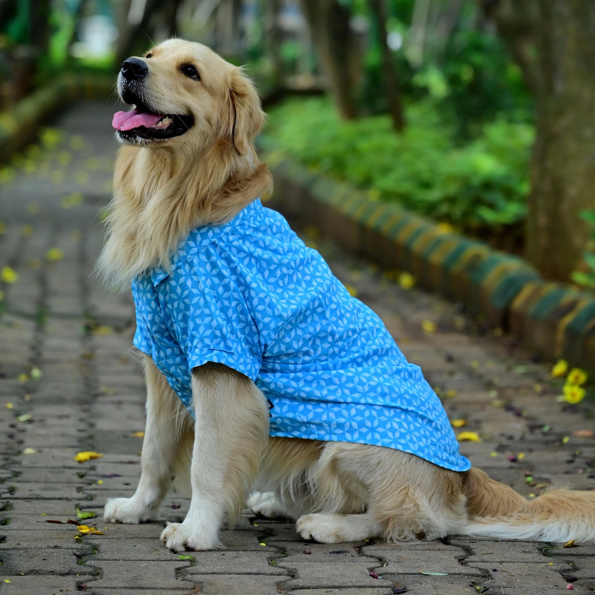 Neeli Nakshatra cotton dog shirt side pose showing tailored fit being easy to wear and comfy. Perfect for small medium large dogs.