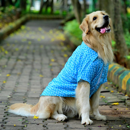 Neeli Nakshatra starry print blue cotton dog shirt in soft comfy fabric. Perfect for small medium large dogs.