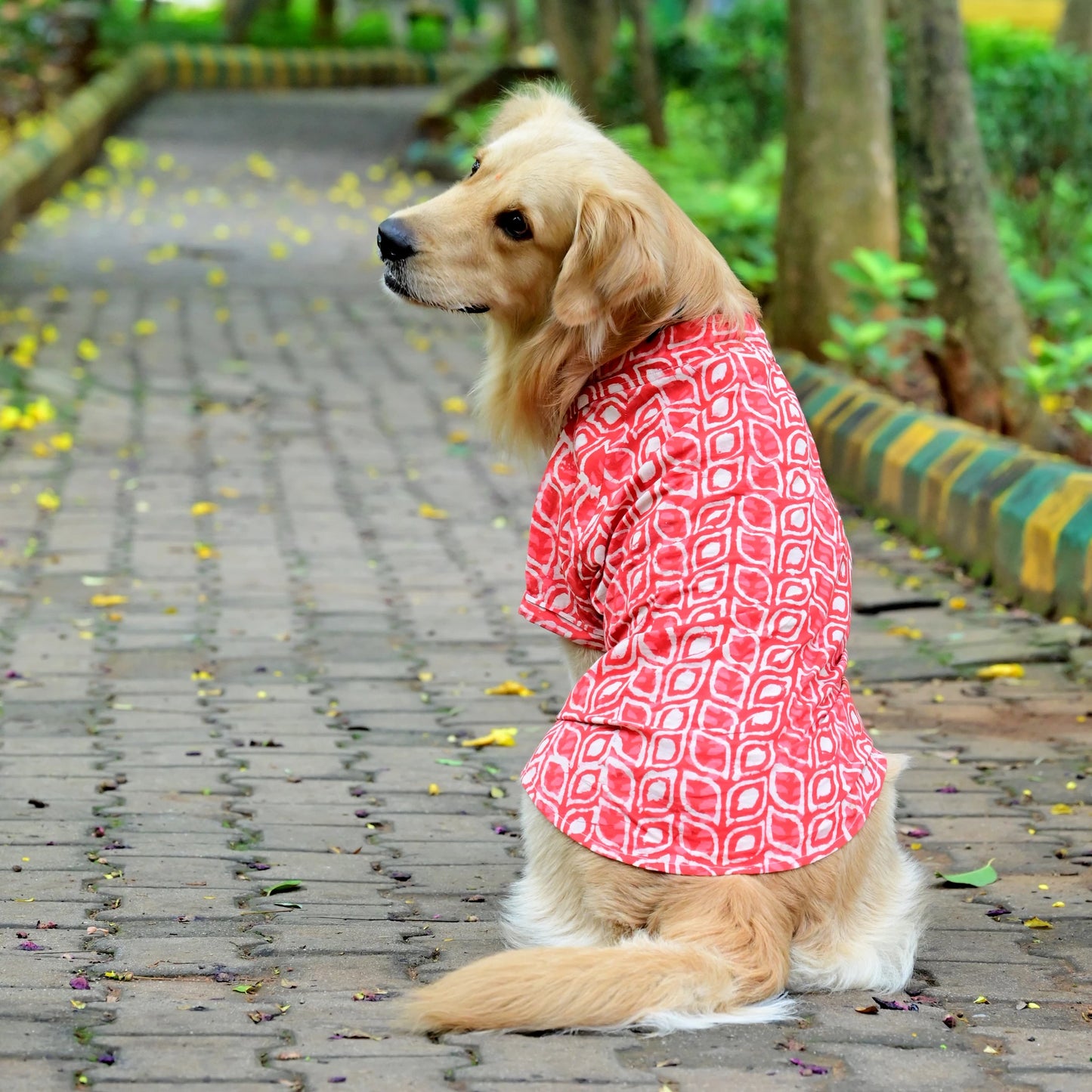 Orange dabu jadoo cotton Indian dog shirt back view for small medium and large dogs