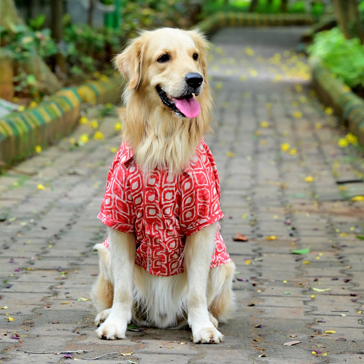 Orange dabu jadoo cotton Indian dog shirt front pose for small medium and large dogs by Suit Up Pooch