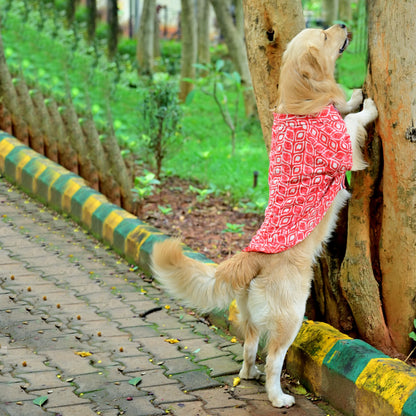 Orange dabu jadoo cotton Indian dog shirt for small medium and large dogs