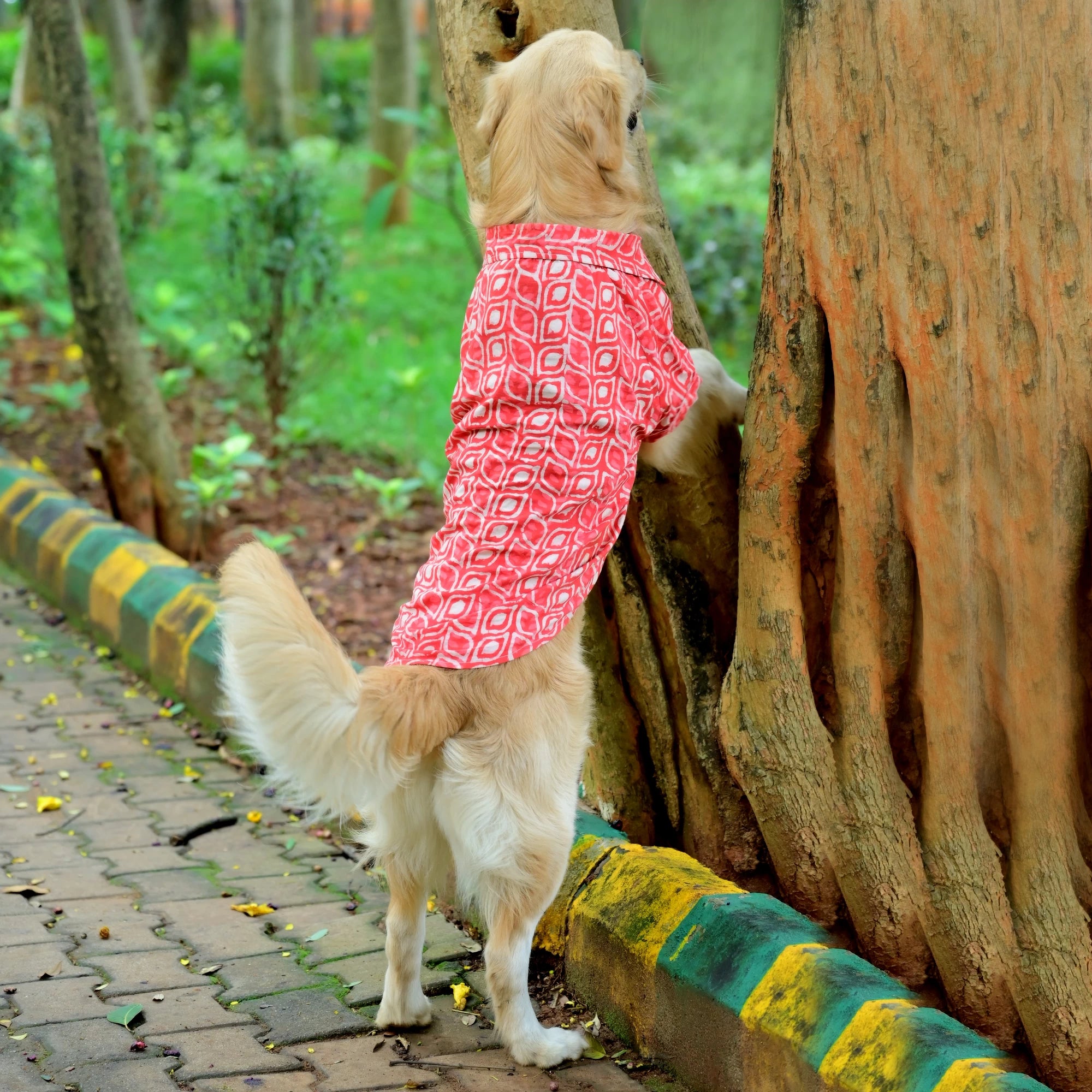 Orange dabu jadoo cotton desi Indian dog shirt for small medium and large dogs