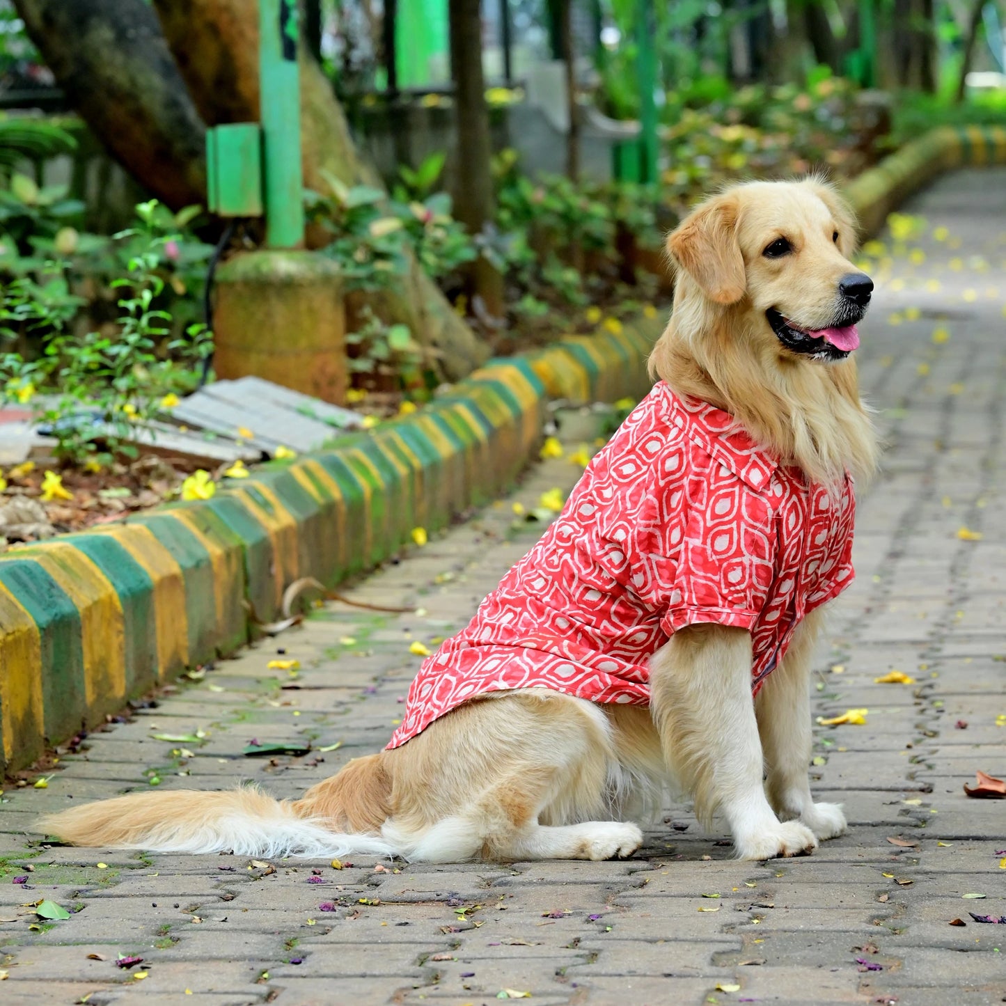 Orange dabu jadoo cotton Indian dog shirt right side view for small medium and large dogs