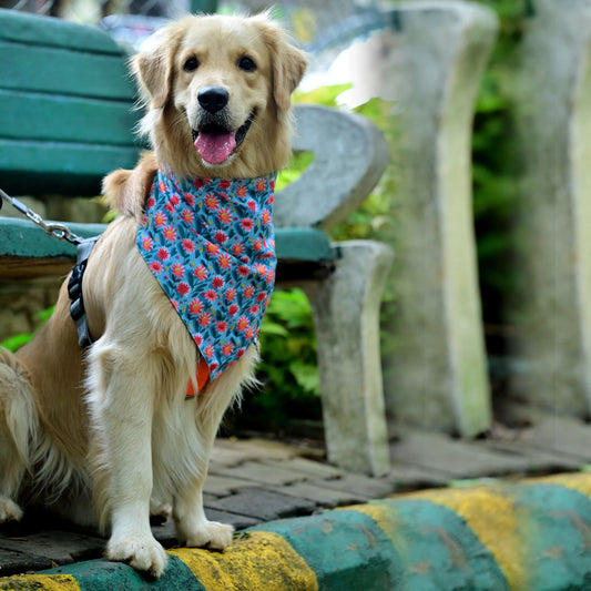 The Daisy Doo cotton scrunchie dog bandana front view, super comfy, easy to slip on, floral print. Available in Small, Medium, Large sizes for all dogs by Suit Up Pooch