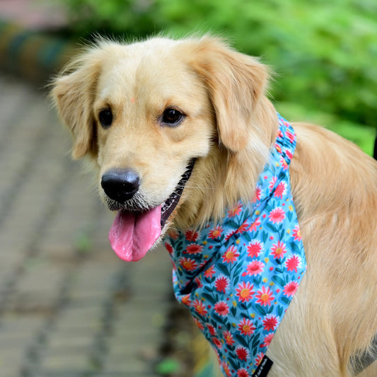 The Daisy Doo cotton scrunchie dog bandana left side view, super comfy, easy to slip on, floral print. Available in Small, Medium, Large sizes for all dogs
