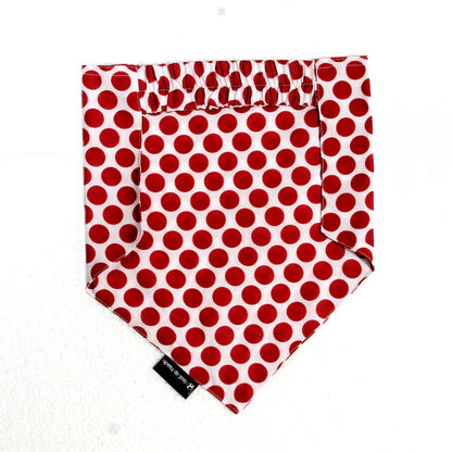 The Polka Pup cotton scrunchie dog bandana flatlay – back view showing scrunchie style, soft cotton, playful red and white polka dot print, comfy fit, easy to slip on, available in Small, Medium, Large size for all dogs