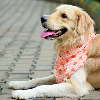 The Tangy Checks cotton scrunchie dog bandana on pup side view, showing playful orange checks and orange fruit print. Comfy fit for Small, Medium, and Large dogs.