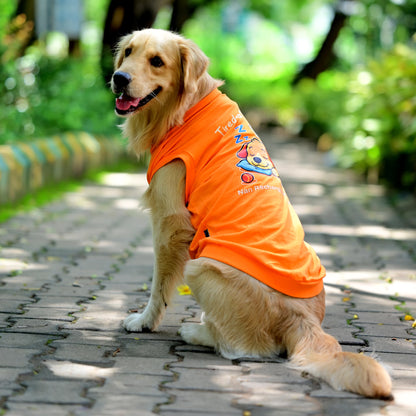 Tired-a? Oh Bhrame! Nan Recharge Mode On Guru! orange sleeveless Kannada cotton dog t-shirt on dog, back pose showing cute graphic of pup taking a power nap before next zoomies. Soft, comfy fit for small, medium, and large pups.