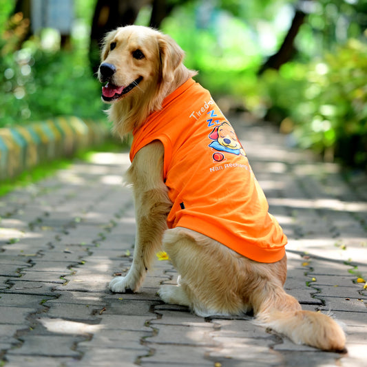Tired-a? Oh Bhrame! Nan Recharge Mode On Guru! orange sleeveless Kannada cotton dog t-shirt on dog, back pose showing cute graphic of pup taking a power nap before next zoomies. Soft, comfy fit for small, medium, and large pups.