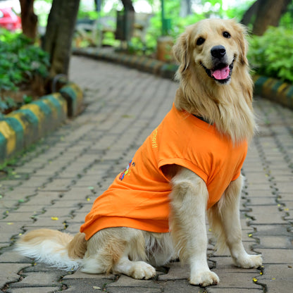 Tired-a? Oh Bhrame! Nan Recharge Mode On Guru! orange sleeveless Kannada cotton dog t-shirt on dog, side pose showing perfect fit and back length. Comfortable for small, medium, and large pups. By Suit Up Pooch