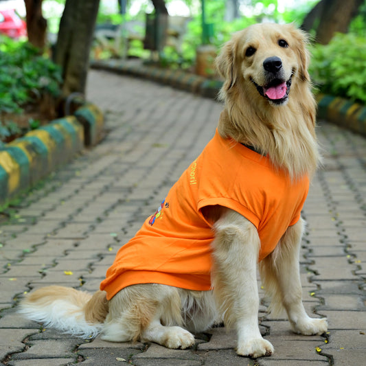 Tired-a? Oh Bhrame! Nan Recharge Mode On Guru! orange sleeveless Kannada cotton dog t-shirt on dog, side pose showing perfect fit and back length. Comfortable for small, medium, and large pups. By Suit Up Pooch