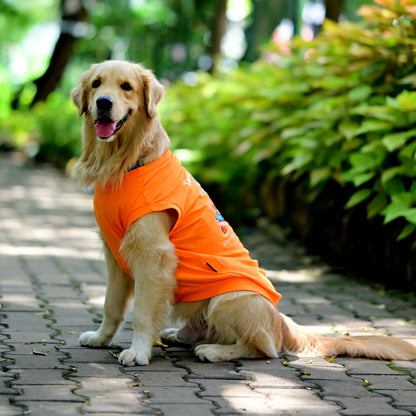 Tired-a? Oh Bhrame! Nan Recharge Mode On Guru! Kannada cotton dog t-shirt in orange, sleeveless, side view showing high belly cut and perfect fit. For pups recharging after playtime.