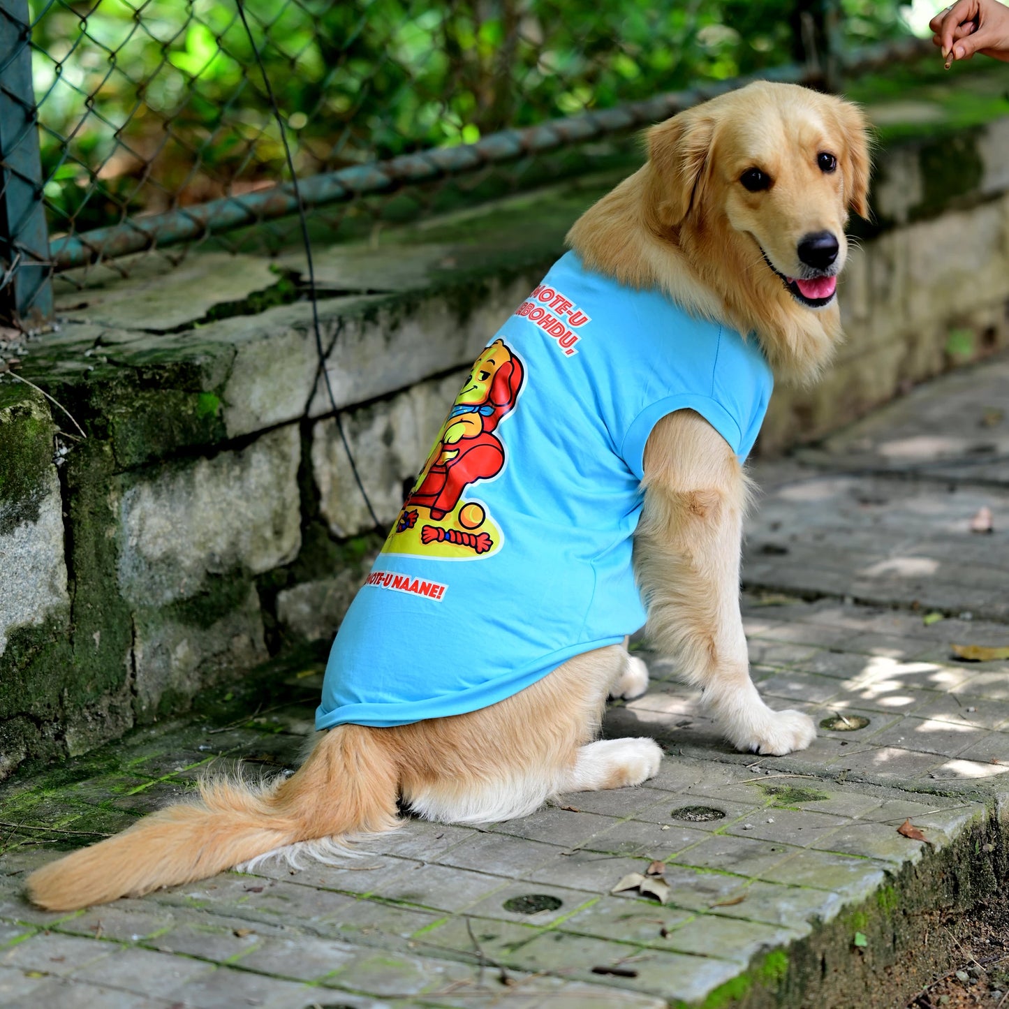 TV Remote-u Nimde Irbohdu Mane Remote-u Naane blue Kannada cotton dog t-shirt shown in back pose, highlighting the clear graphic and perfect back length. Sleeveless, comfy fit for small, medium, and large dogs.