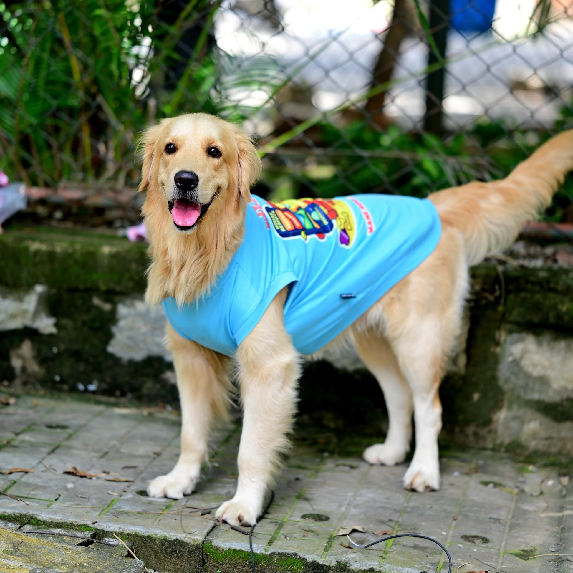 TV Remote-u Nimde Irbohdu Mane Remote-u Naane blue sleeveless cotton Kannada dog t-shirt in standing left profile, showing high belly cut and perfect back length. Available for small, medium, and large dogs.