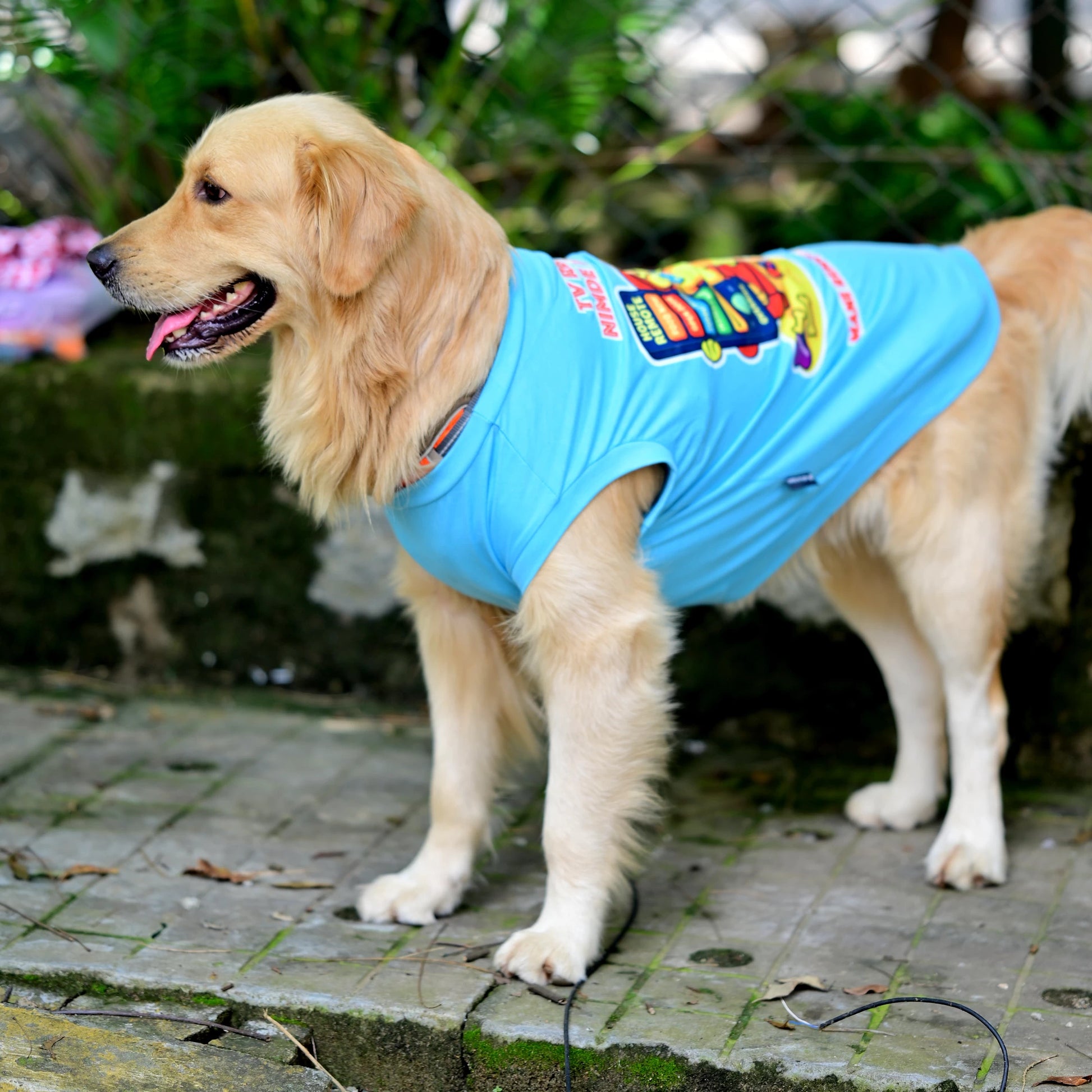 TV Remote-u Nimde Irbohdu Mane Remote-u Naane blue sleeveless cotton Kannada dog t-shirt in standing left profile, showing high belly cut and perfect back length. 