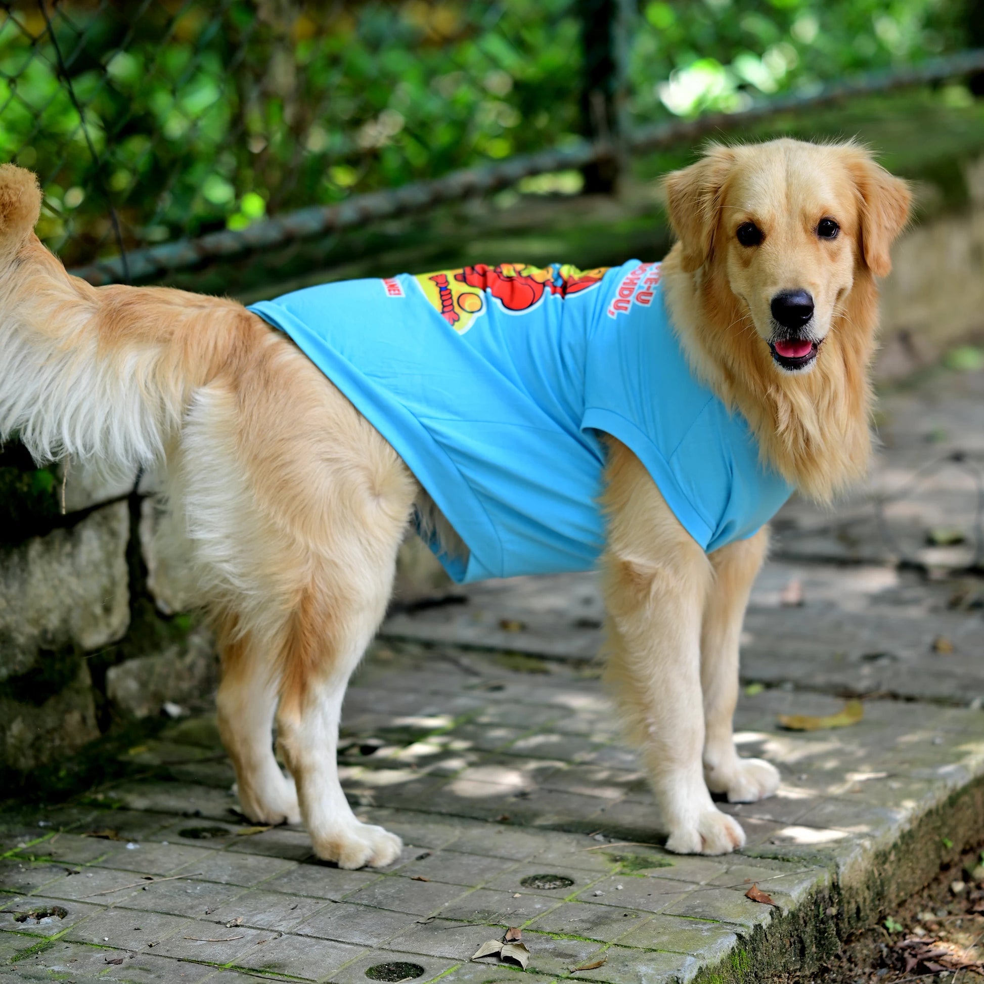 TV Remote-u Nimde Irbohdu Mane Remote-u Naane blue sleeveless cotton Kannada dog t-shirt in standing right profile, showing high belly cut and perfect back length. Available for small, medium, and large dogs.