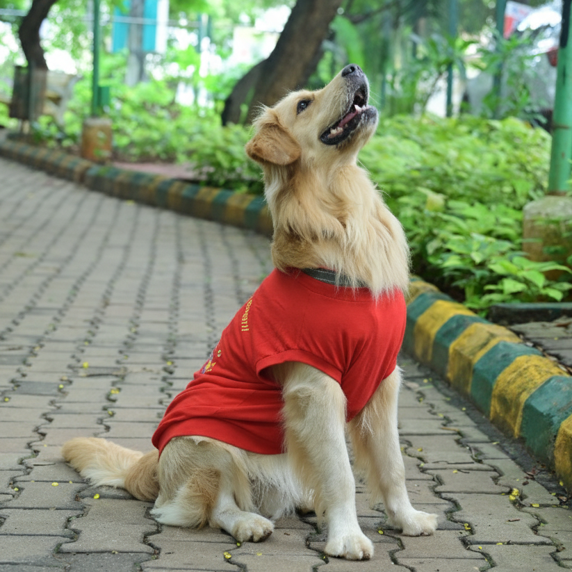Walk-u Ishta Snana Kashta Kannada cotton dog t-shirt in red, sleeveless, side view showing high belly cut, perfect back length and tailored fit. Comfortable for small, medium, and large pups.