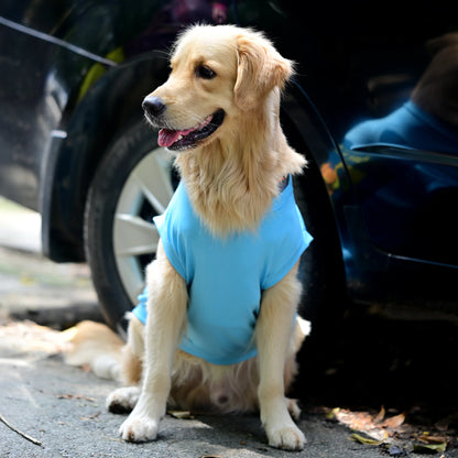 Zoomies speak louder than woofs blue sleeveless cotton dog t-shirt front pose on sitting dog showing tailored fit, high belly cut and comfy feel. Available for small, medium, and large dogs.