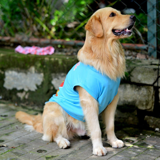 Zoomies speak louder than woofs blue sleeveless cotton dog t-shirt right side pose on sitting dog showing tailored fit, high belly cut and comfy feel. Available for small, medium, and large dogs.